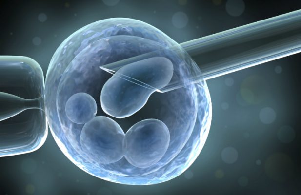 thụ tinh ống nghiệm IVF